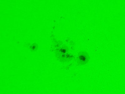 Giant sunspot 4100