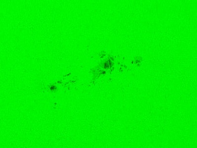 Sunspots with light bridges