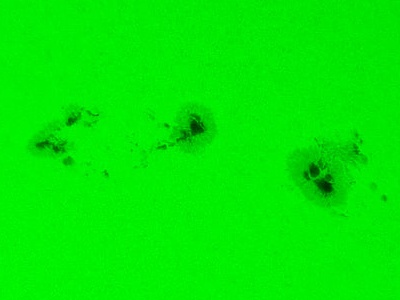 Sunspot parade
