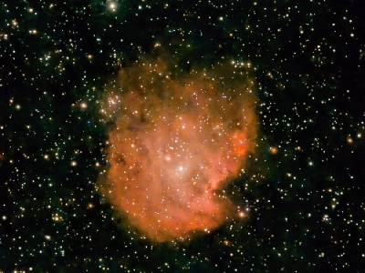 Monkey Head Nebula