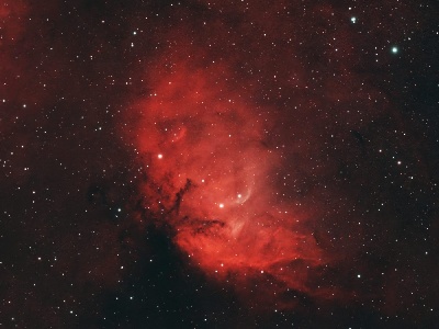 Tulip Nebula
